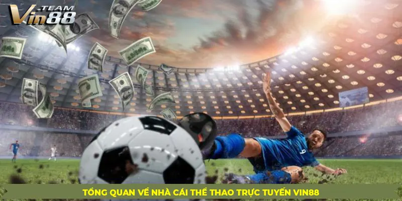 Tổng Quan Về Nhà Cái Thể Thao Trực Tuyến Vin88 - Cập Nhật Tỷ Số, Cá Cược Hấp Dẫn